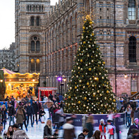 Buy canvas prints of Natural History Museum Ice Rink by Sarah Smith