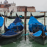 Buy canvas prints of The Venetian Tradition by Sarah Smith