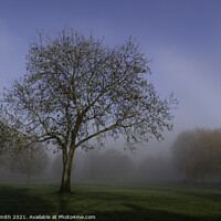 Buy canvas prints of Sun Shines Through The Mist by Sarah Smith