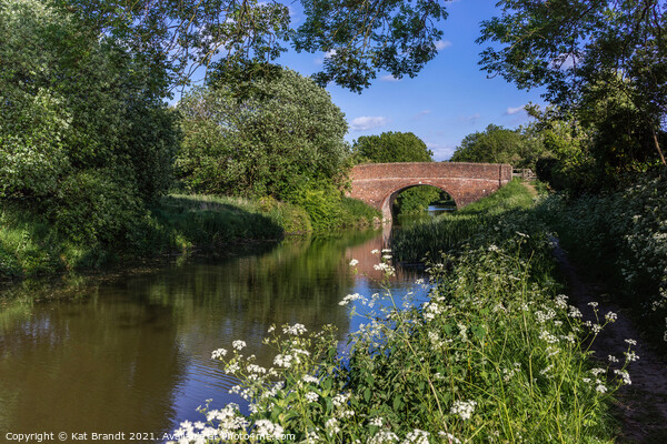 Kennet and Avon Canal, Wiltshire Picture Board by KB Photo
