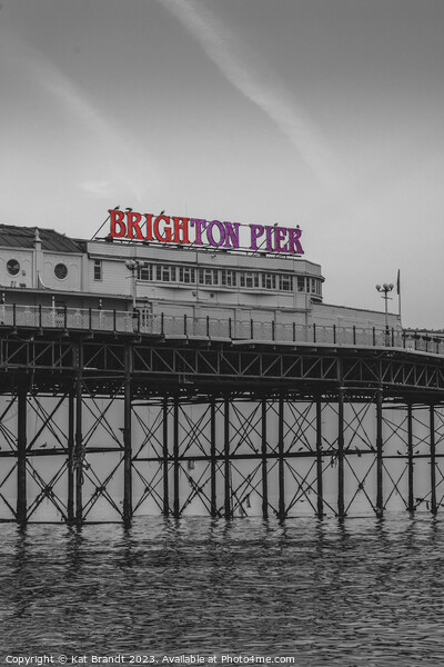 Brighton Pier in black and white Picture Board by KB Photo