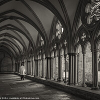 Buy canvas prints of Salisbury Cloisters in Black and White by KB Photo