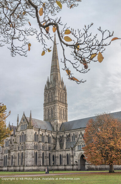 Salisbury Cathedral Cityscape Autumn Picture Board by KB Photo