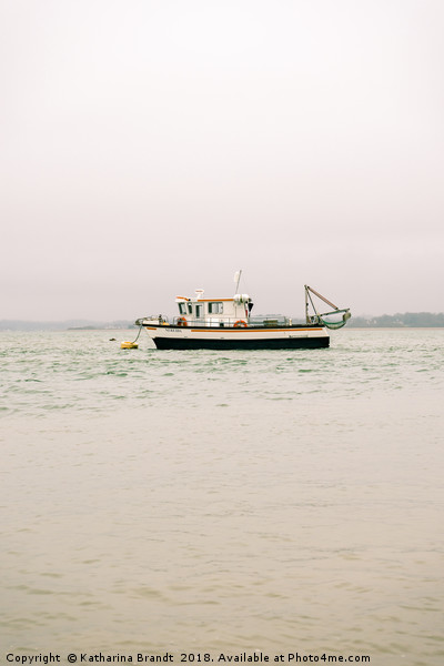 Fishing trawler in the Solent Picture Board by KB Photo