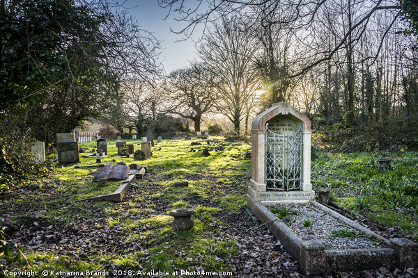 Evening light at Eling cemetery in Hampshire Picture Board by KB Photo