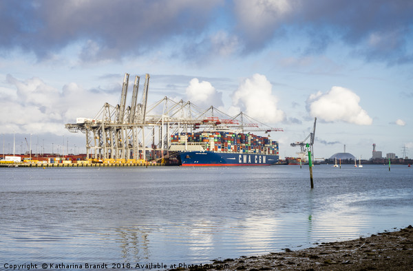 Port of Southampton, England Picture Board by KB Photo