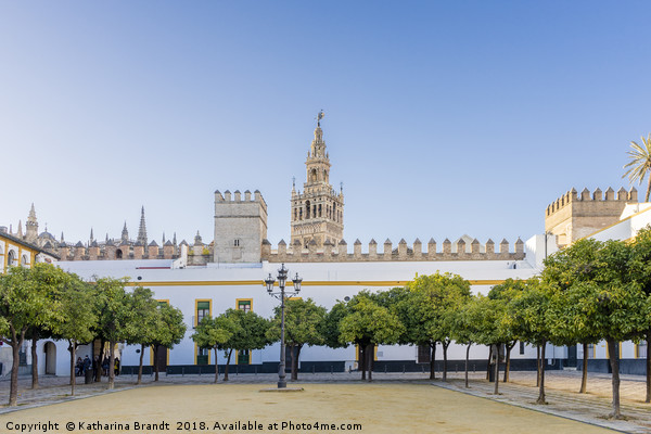 Seville Cathedral, Spain Picture Board by KB Photo