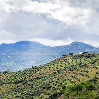 Buy canvas prints of Andalusian landscape with Olive groves on mountain by KB Photo