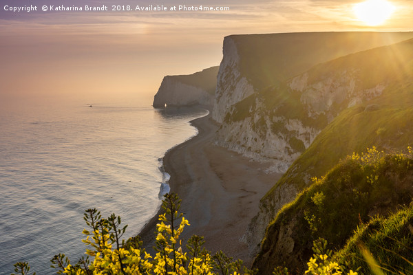 Sunset along the Jurassic coast in Dorset, England Picture Board by KB Photo
