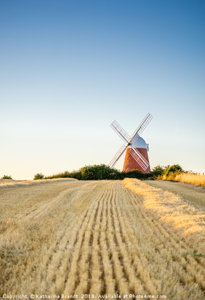 Halnaker Windmill in West Sussex, England Picture Board by KB Photo
