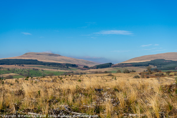 Brecon Beacons National Park, Wales Picture Board by KB Photo