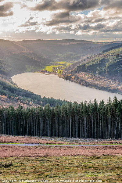View across the Talybont Reservoir in South Wales Picture Board by KB Photo