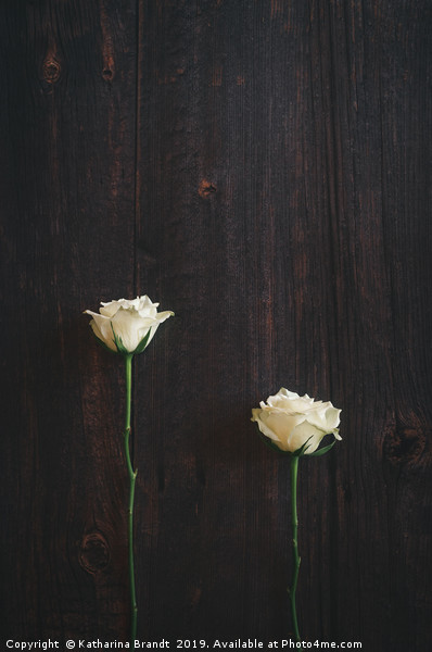 Two Roses on Wooden background Picture Board by KB Photo