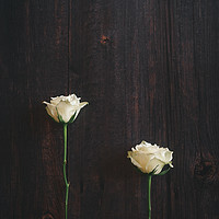 Buy canvas prints of Two Roses on Wooden background by KB Photo