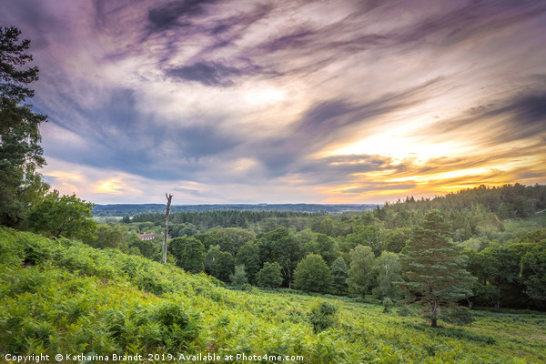 Sunset over Rockford Common, New Forest, UK Picture Board by KB Photo