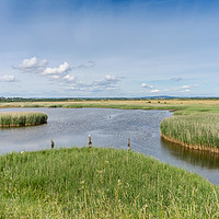 Buy canvas prints of Farlington Marshes by KB Photo