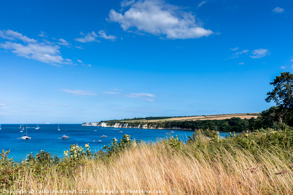 Studland Bay Picture Board by KB Photo