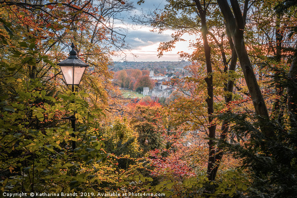 Autumnal view from St Giles Hill in Winchester Picture Board by KB Photo