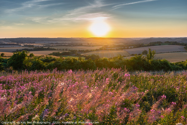 Sunset over Butser Hill, South Downs Picture Board by KB Photo