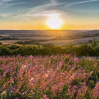 Buy canvas prints of Sunset over Butser Hill, South Downs by KB Photo