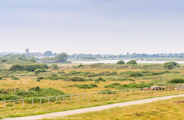 Hengistbury Head Nature Reserve, UK Picture Board by KB Photo