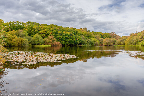 Eyeworth Pond during Autumn Picture Board by KB Photo