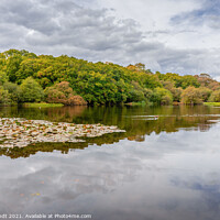 Buy canvas prints of Eyeworth Pond during Autumn by KB Photo