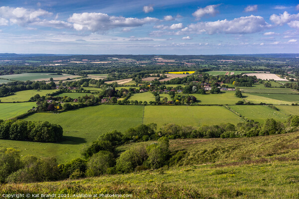 Harting Down, South Downs Picture Board by KB Photo