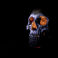 Buy canvas prints of Halloween skull.  by Stuart Pearce