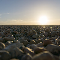 Buy canvas prints of Pebbles by Stephen Dryburgh
