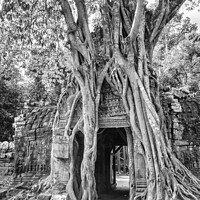 Buy canvas prints of Tree covering temple entrance by Kevin Hellon