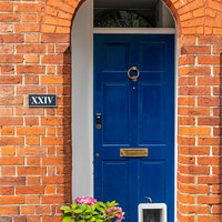 Buy canvas prints of Blue door with catflap and hydrangea flowers,  by Kevin Hellon