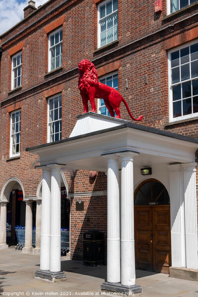 The famous Red Lion symbol of High Wycombe Picture Board by Kevin Hellon