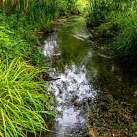 Buy canvas prints of River Chess, Riverside,  Chesham by Kevin Hellon