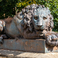 Buy canvas prints of Lion statue, Aylesbury by Kevin Hellon