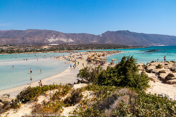 Elafonisi beach, Chania, Crete, Greece Picture Board by Kevin Hellon