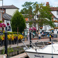 Buy canvas prints of The Thames river bank in Henley on Thames, by Kevin Hellon