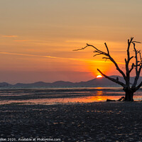 Buy canvas prints of Dead tree sunrise by Kevin Hellon