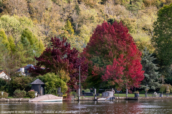 Autumn colours, Henley on Thames Picture Board by Kevin Hellon