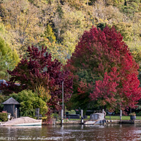 Buy canvas prints of Autumn colours, Henley on Thames by Kevin Hellon