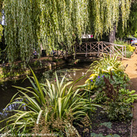 Buy canvas prints of Barnes pool park and garden by Kevin Hellon