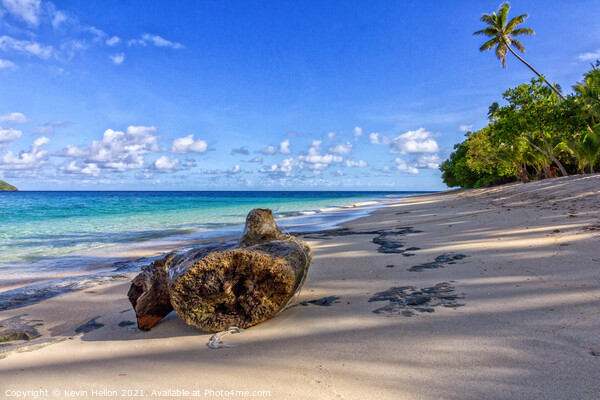 Log on beach, Dravuni Island, Fiji, South Pacific Picture Board by Kevin Hellon