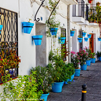 Buy canvas prints of Blue plantpots line a street in Mijas Pueblo by Kevin Hellon
