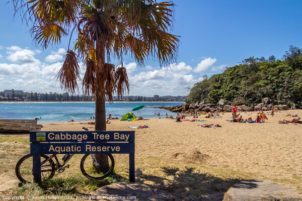 Shelly beach and Cabbage tree bay aquatic reserve,  Picture Board by Kevin Hellon
