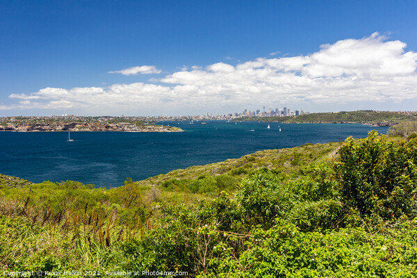 View over Sydney Harbor  Picture Board by Kevin Hellon