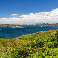 Buy canvas prints of View over Sydney Harbor  by Kevin Hellon