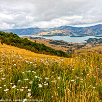 Buy canvas prints of View over Banks Peninsular, by Kevin Hellon