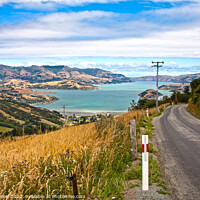 Buy canvas prints of Road through the grasslands and hills of Akaroa by Kevin Hellon