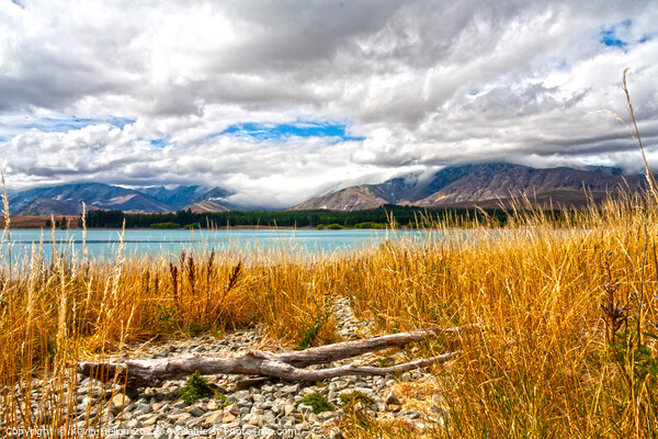 Lake Tekapo, Canterbury, South Island, New Zealand Picture Board by Kevin Hellon