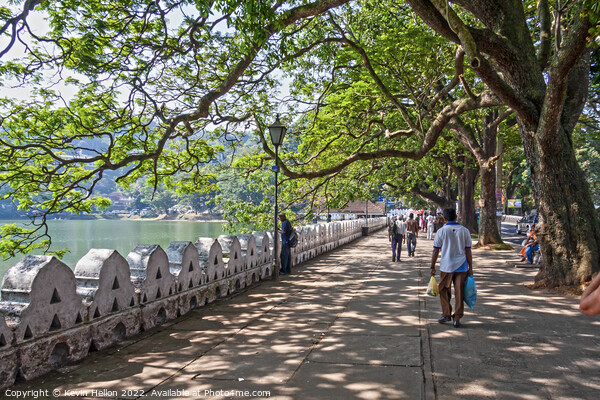 Promenade and lake, Kandy Picture Board by Kevin Hellon